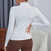 voordelige Effen kleuren-Dames Trui Basic Casual Effen Kleur Geribd Coltrui Gebreid Dun Lange mouw breien Dagelijks Zwart Wit Herfst Winter
