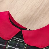 levne Neformální šaty-Batole Dívčí Šaty Pléd Emodži Dlouhý rukáv Výkon Výročí Kapsy Roztomilý Rozkošný Polyester Šaty na párty Áčkové šaty Podzim Zima 3-7 let 4-7 let Rubínově červená