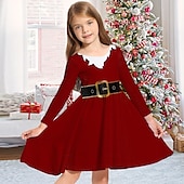 abordables Vestidos de Navidad para niños-Niños Chica Vestido de Navidad Vestido Vestido de copo de nieve Animal Cada Copo Manga Larga Casual Cuello redondo Adorable Diario Poliéster Sobre la rodilla Vestido informal Vestido de Columpio