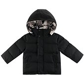 billiga Boy&amp;#39;s Downs &amp;amp; Pufferjacka-Barn Pojkar Hoodiejacka Ytterkläder Ensfärgat Långärmad Dragkedja Täcka Utomhus Förtjusande Dagligen Svart Rubinrött Vinter 3-7 år