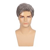 ieftine Peruci Bărbați-perucă scurtă pentru bărbați gri drept natural peruci de păr cosplay sintetic pentru bărbați perucă completă de înlocuire zilnică