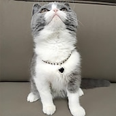 billige Hundehalsbånd og bånd-2 stk perler hundehalsbånd halsbånd bling rhinestones katt bryllup halsbånd katt halsbånd justerbart jente hund halsbånd for liten hund jente valp katt halsbånd tilbehør