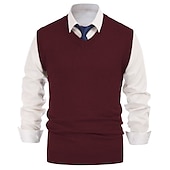 abordables suéter de los hombres-Hombre Chaleco suéter Sueter de lana Pull-over Tejer Escote en V Profunda De Punto Color sólido Escote en Pico Básico Elegante Ropa Invierno Otoño Negro Vino M L XL