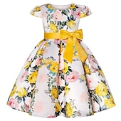 levne Párty šaty-Děti Dívčí Šaty Šaty na párty Květiny Krátký rukáv Výkon Křtinové šaty Kravatový uzel Princeznovské Polyester Midi Šaty na párty Léto Jaro 3-10 let Bordó Více barev Barva modrá