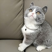 billige Hundehalsbånd og bånd-2 stk perler hundehalsbånd halsbånd bling rhinestones katt bryllup halsbånd katt halsbånd justerbart jente hund halsbånd for liten hund jente valp katt halsbånd tilbehør