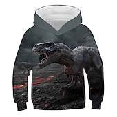 abordables Animaux 3D pour Garçon-Enfants Garçon Sweat à capuche Dinosaure manche longue Automne Hiver Mode Frais Coton Casual