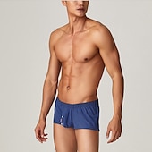 cheap Men&#039;s Boxers Underwear-Men&#039;s 1pack Underwear Basic Panties Boxers Underwear Briefs Nylon Antibacterial Leak Proof Pure Color Low Waist Blue Green