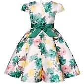 levne Párty šaty-Děti Dívčí Šaty Šaty na párty Květiny Krátký rukáv Výkon Křtinové šaty Kravatový uzel Princeznovské Polyester Midi Šaty na párty Léto Jaro 3-10 let Bordó Více barev Barva modrá