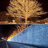 billige Soldrevet-vanntette solcellestrenglys utendørs 10/20m, 100/200 lysdioder med fjernkontroll, 8 moduser eventyrlys for hagebryllup tre julevindusdekorasjon