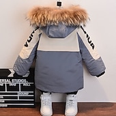 cheap Boy&#039;s Downs &amp; Puffer Jacket-Toddler Boys Fleece Jacket Hoodie Jacket Outerwear Letter Long Sleeve Coat Outdoor Cotton Fashion Basic Black Gray Fall Winter 3-7 Years
