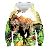 baratos Animais 3D do Menino-Infantil Para Meninos Moletom Dinossauro Manga Longa Outono Inverno Ativo Moda Algodão Casual