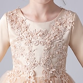 voordelige Bloemenjurken-Bloemenmeisjesjurk Voor meisjes Jurk Prinses jurk Feestjurk Bruiloft Feest Verjaardag Prinses Zoet Kinderdag Bloem Lange mouw Strakke ronde hals Wit Blozend Roze 3-12 jaar