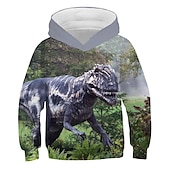 abordables Animaux 3D pour Garçon-Enfants Garçon Sweat à capuche Dinosaure manche longue Automne Hiver Mode Frais Coton Casual