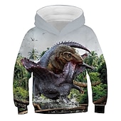 abordables Animaux 3D pour Garçon-Enfants Garçon Sweat à capuche Dinosaure manche longue Automne Hiver Mode Frais Coton Casual