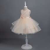 abordables Robes à Fleurs pour Filles-Tout-petit Fille Robe de Soirée Couleur Unie Sans manches Performance Mariage Noeud de cravate Adorable Princesse Polyester Mi-long Robe en Tulle Été Printemps 3-7 Ans Multicouleur Blanche Champagne