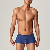 cheap Men&#039;s Boxers Underwear-Men&#039;s 1pack Underwear Basic Panties Boxers Underwear Briefs Nylon Antibacterial Leak Proof Pure Color Low Waist Blue Green