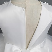 abordables Robes à Fleurs pour Filles-Tout-petit Fille Robe de Soirée Couleur Unie Sans manches Performance Mariage Noeud de cravate Adorable Princesse Polyester Mi-long Robe en Tulle Été Printemps 3-7 Ans Multicouleur Blanche Champagne