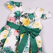levne Párty šaty-Děti Dívčí Šaty Šaty na párty Květiny Krátký rukáv Výkon Křtinové šaty Kravatový uzel Princeznovské Polyester Midi Šaty na párty Léto Jaro 3-10 let Bordó Více barev Barva modrá