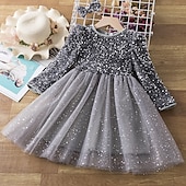 levne Párty šaty-Batole Dívčí Šaty na párty Pevná barva Dlouhý rukáv Výkon Flitry Síťka Roztomilý Princeznovské Polyester Délka ke kolenům Tylové šaty Léto Jaro 3-7 let Rubínově červená Šedá