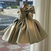 זול שמלות למסיבות-ילדים קטן בנות שמלה אחיד חתונה מפלגה אירוע מיוחד קפלים פפיון כחול בהיר משחת שעועית שרוולים ארוכים לבנים ללא שרוולים סגנון חמוד אלגנטית נסיכות שמלות אביב קיץ 3-12 שנים / חגים