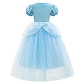 levne Dívčí kostýmy-Popelka Pohádkové Princeznovské Květinové šaty Téma Party Kostým Tylové šaty cosplay Filmové kostýmy for Dívčí Dětské Karneval Plesová maškaráda Svatební Svatební host