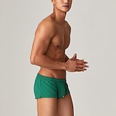 cheap Men&#039;s Boxers Underwear-Men&#039;s 1pack Underwear Basic Panties Boxers Underwear Briefs Nylon Antibacterial Leak Proof Pure Color Low Waist Blue Green