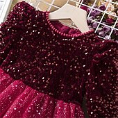 levne Párty šaty-Batole Dívčí Šaty na párty Pevná barva Dlouhý rukáv Výkon Flitry Síťka Roztomilý Princeznovské Polyester Délka ke kolenům Tylové šaty Léto Jaro 3-7 let Rubínově červená Šedá
