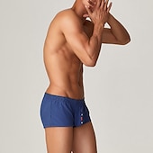 cheap Men&#039;s Boxers Underwear-Men&#039;s 1pack Underwear Basic Panties Boxers Underwear Briefs Nylon Antibacterial Leak Proof Pure Color Low Waist Blue Green
