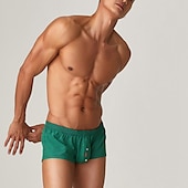 cheap Men&#039;s Boxers Underwear-Men&#039;s 1pack Underwear Basic Panties Boxers Underwear Briefs Nylon Antibacterial Leak Proof Pure Color Low Waist Blue Green