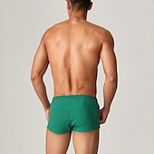 cheap Men&#039;s Boxers Underwear-Men&#039;s 1pack Underwear Basic Panties Boxers Underwear Briefs Nylon Antibacterial Leak Proof Pure Color Low Waist Blue Green