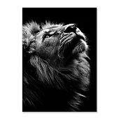 זול Animal Prints-הדפסי בד אמנות קיר בעלי חיים קישוט בית עיצוב בד מגולגל ללא מסגרת לא ממוסגרת לא מתוחה
