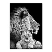 זול Animal Prints-הדפסי בד אמנות קיר בעלי חיים קישוט בית עיצוב בד מגולגל ללא מסגרת לא ממוסגרת לא מתוחה