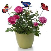 abordables piquets de jardin décoratifs-20 pièces fil métallique papillon plantes enjeux jardin décor papillon enjeux jardin extérieur planteur pot de fleur lit yard jardin pelouse décor