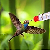 cheap Backyard Birding &amp; Wildlife-Window Hummingbird Feeder Window Mount Hummingbird Feeder Water Drinker Outdoor Garden Yard Decor