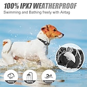 cheap Airtag Cases-LED Dog Collar with AirTag Holder – IPX7 Waterproof USB-C Rechargeable Glow Nylon Pet Collar for Small Dogs &amp; Puppies, Light Up Flashing for Night Walking