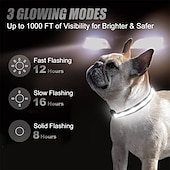 cheap Airtag Cases-LED Dog Collar with AirTag Holder – IPX7 Waterproof USB-C Rechargeable Glow Nylon Pet Collar for Small Dogs &amp; Puppies, Light Up Flashing for Night Walking