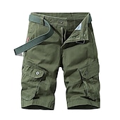 billige Klassisk-Herre Cargoshorts Shorts Shorts til turbruk 6 lommer عادي Komfort Pustende Knelengde Avslappet Daglig Gateklær 100 % bomull Sport Mote Blå Grønn Mikroelastisk