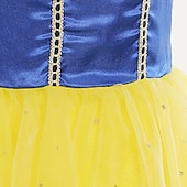 preiswerte Kostüme für Mädchen-Buchwoche 2026 Schneekönigin Eisig Schneeweiß Märchen Prinzessin Blumenmädchenkleid Themenparty-Kostüm Tüllkleider Cosplay for Mädchen Kinder Weihnachten Karneval Maskerade