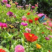abordables piquets de jardin décoratifs-20 pièces fil métallique papillon plantes enjeux jardin décor papillon enjeux jardin extérieur planteur pot de fleur lit yard jardin pelouse décor