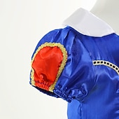 preiswerte Kostüme für Mädchen-Buchwoche 2026 Schneekönigin Eisig Schneeweiß Märchen Prinzessin Blumenmädchenkleid Themenparty-Kostüm Tüllkleider Cosplay for Mädchen Kinder Weihnachten Karneval Maskerade