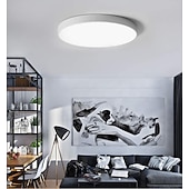 billige Taklamper med dimming-30 cm Mulighet for demping Skyllmonteringslys Metall Elegant Malte overflater LED 110-120V 220-240V 110-240 V