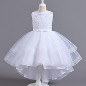 abordables Robes à Fleurs pour Filles-Robe de Demoiselle d&#039;Honneur Fille Fille Robe Robe de fête Utilisation Mariage Soirée Elégant Princesse Paillettes Maille Paillette Sans Manches Col Ras du Cou Blanche Rouge 3-13 ans