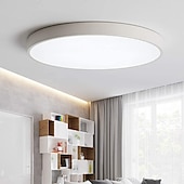 billige Taklamper med dimming-30 cm Mulighet for demping Skyllmonteringslys Metall Elegant Malte overflater LED 110-120V 220-240V 110-240 V