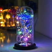 cheap Novelties-Galaxy Rose Lamps Flowers Rose Eternal Rose in Glass Led Light Up Rose Dome Decor Valentines Day Gifts for Women Girlfriend Wife Mothers Day Wedding
