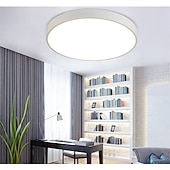 billige Taklamper med dimming-30 cm Mulighet for demping Skyllmonteringslys Metall Elegant Malte overflater LED 110-120V 220-240V 110-240 V