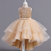abordables Robes à Fleurs pour Filles-Robe de Demoiselle d&#039;Honneur Fille Fille Robe Robe de fête Utilisation Mariage Soirée Elégant Princesse Paillettes Maille Paillette Sans Manches Col Ras du Cou Blanche Rouge 3-13 ans