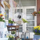 cheap Backyard Birding &amp; Wildlife-Bird Feeder with Camera, Bird Watching Camera HD 1080P Night-Version Video Camera, WiFi Hotspot Remote Connection with Mobile Phone for Outdoor Bird Watching, Capture Photos