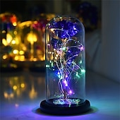 cheap Novelties-Galaxy Rose Lamps Flowers Rose Eternal Rose in Glass Led Light Up Rose Dome Decor Valentines Day Gifts for Women Girlfriend Wife Mothers Day Wedding