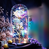 cheap Novelties-Galaxy Rose Lamps Flowers Rose Eternal Rose in Glass Led Light Up Rose Dome Decor Valentines Day Gifts for Women Girlfriend Wife Mothers Day Wedding