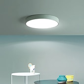 billige Taklamper med dimming-30 cm Mulighet for demping Skyllmonteringslys Metall Elegant Malte overflater LED 110-120V 220-240V 110-240 V